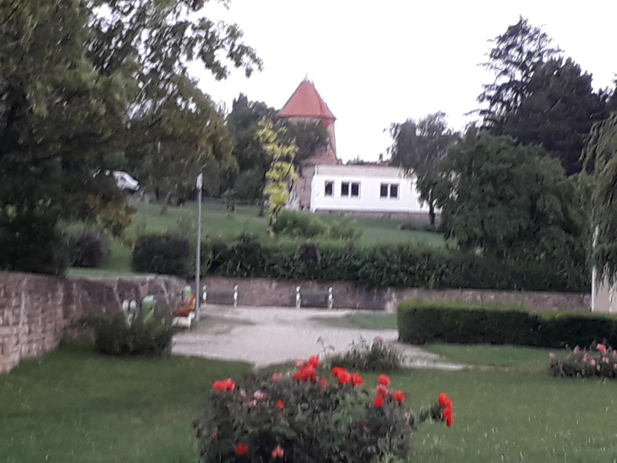 Bed and Breakfast Fenyes Vinorium Ödenburg Exterior foto